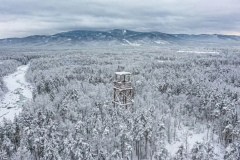 Gemini_Generated_Image_q0b9n9q0b9n9q0b9-1